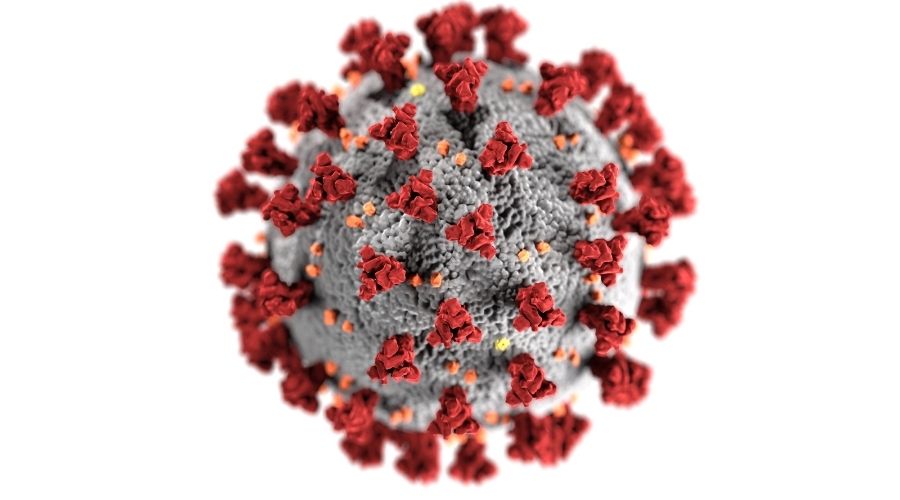 Clicca per accedere all'articolo Circolare del Ministero della Salute su infezione da Coronavirus